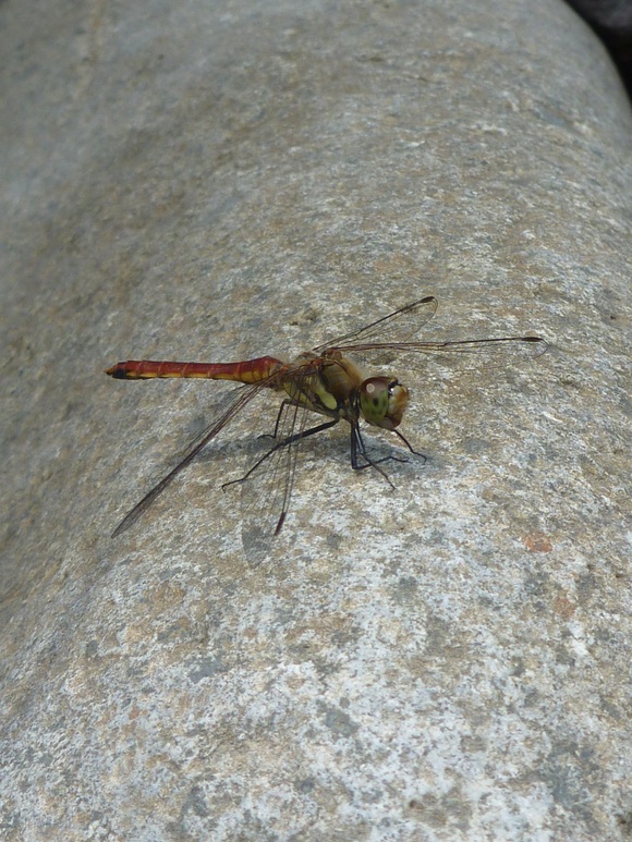 b0229003_2042240.jpg