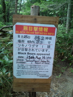 a0292205_15433531.jpg