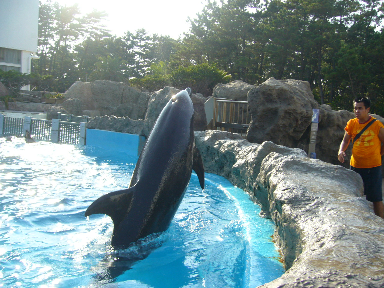 e0147206_22326.jpg