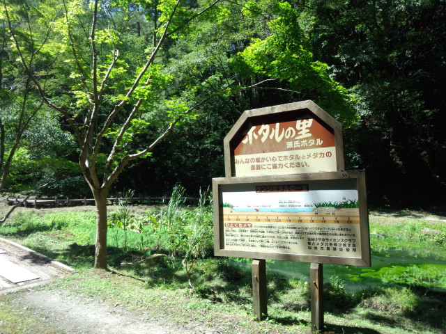 f0284409_19594517.jpg