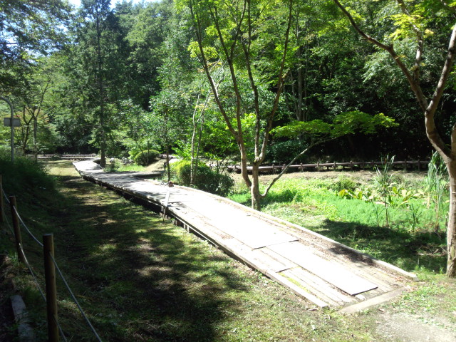 f0284409_2063080.jpg
