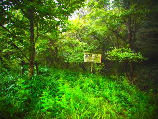 b0183911_23515924.jpg