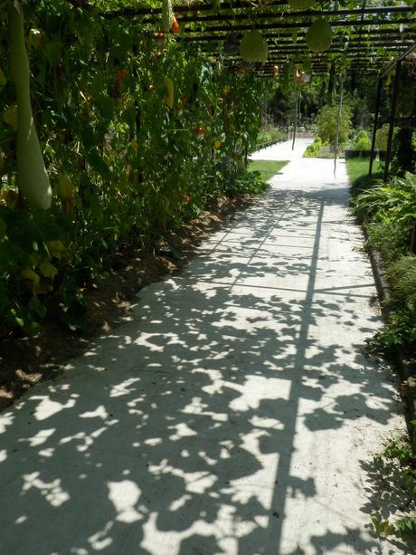 c0062511_1212879.jpg