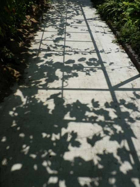 c0062511_12144596.jpg