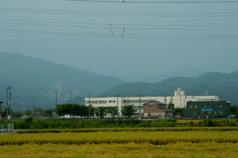a0278914_714780.jpg