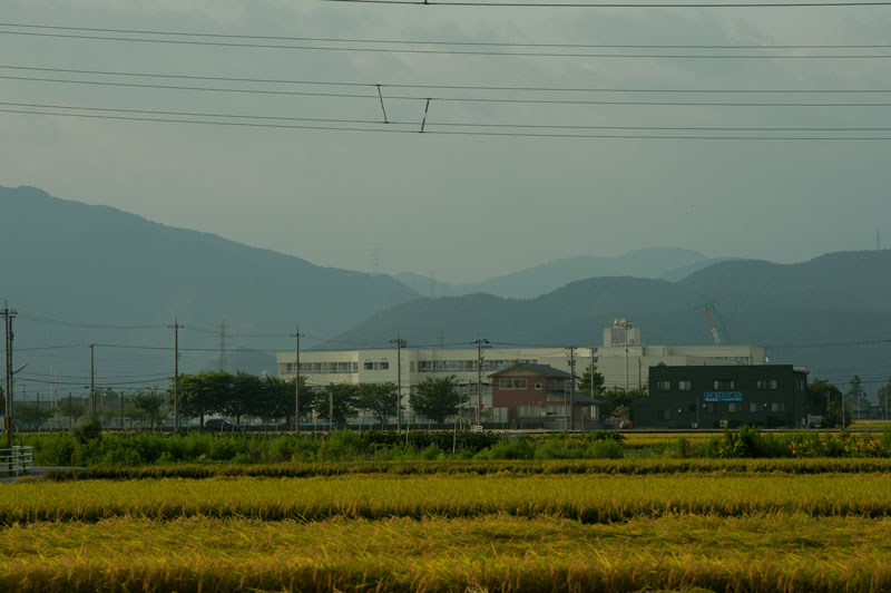 a0278914_7154227.jpg