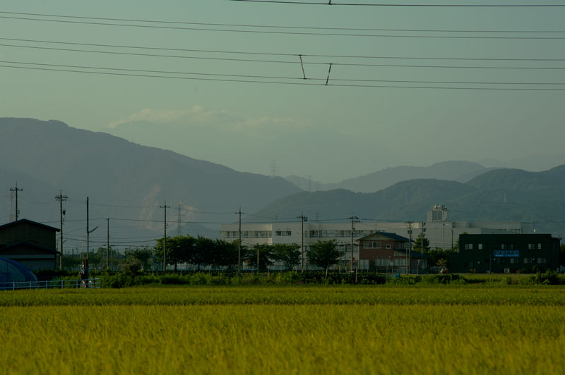 a0278914_727035.jpg