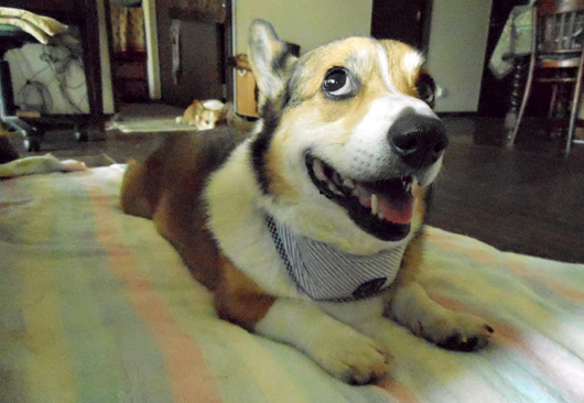 e0071225_201414.jpg