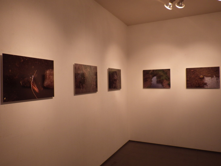 f0118332_02828.jpg