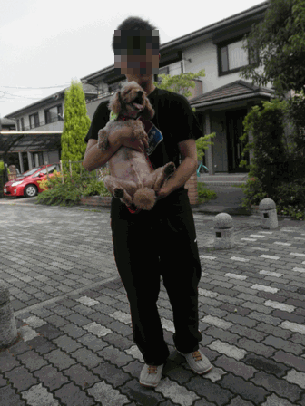 c0136736_13111151.gif