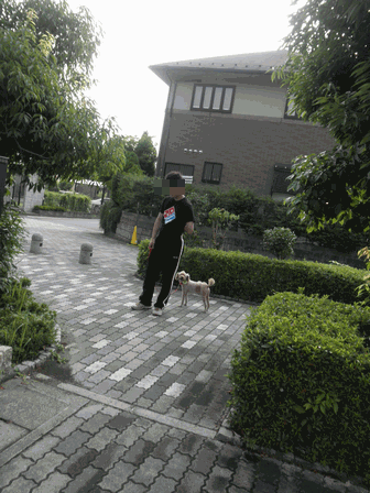 c0136736_139598.gif