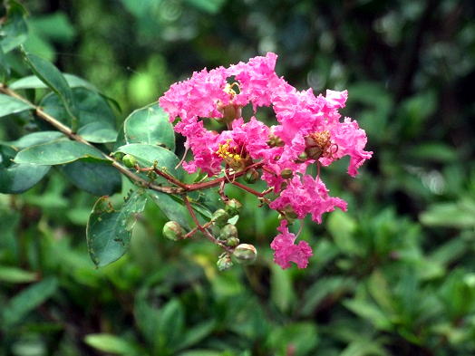 b0089338_0101660.jpg