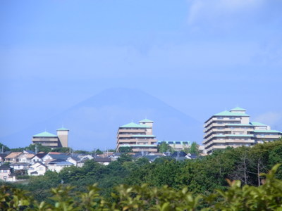d0224139_155262.jpg