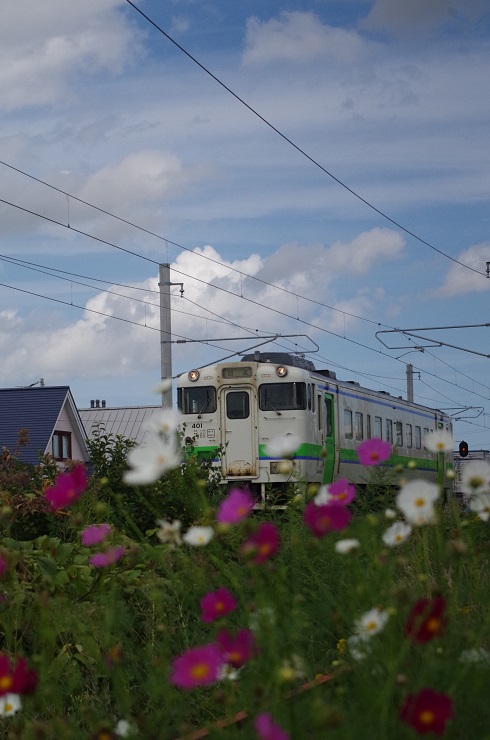 d0165741_1817237.jpg