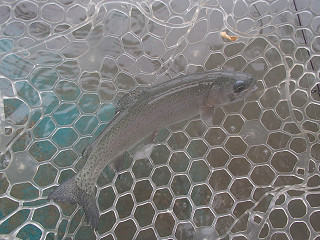 f0065341_14382263.jpg