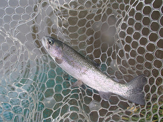 f0065341_14392551.jpg