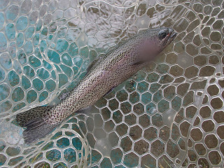 f0065341_14402369.jpg