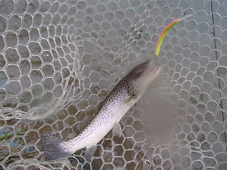 f0065341_14412855.jpg