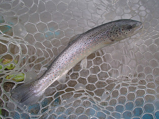 f0065341_14435710.jpg
