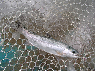 f0065341_14441261.jpg