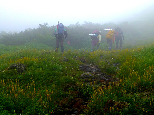 c0081645_0163455.jpg