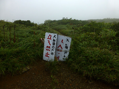 c0081645_02132.jpg