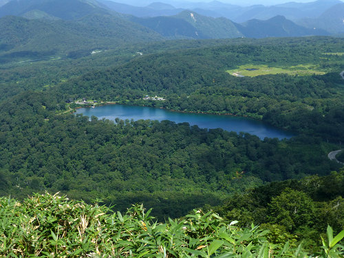 c0081645_036187.jpg