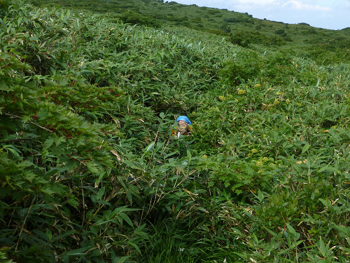 c0081645_081614.jpg