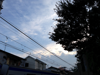 f0179947_235579.jpg
