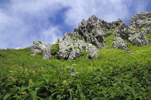 b0122448_1712297.jpg