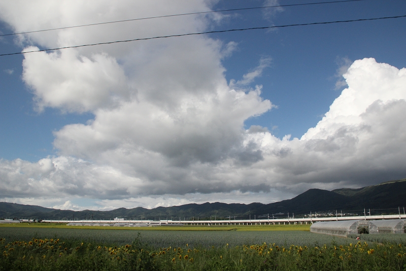 b0250154_7382553.jpg