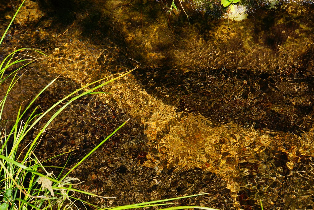 e0223456_117324.jpg