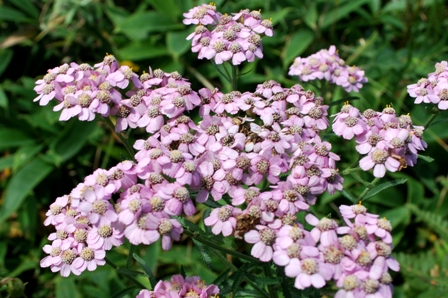 b0086858_1282979.jpg