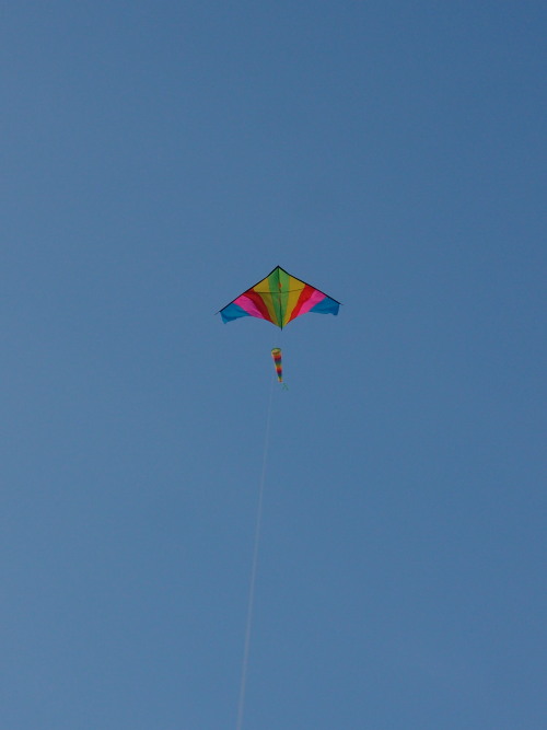 c0122670_2350983.jpg