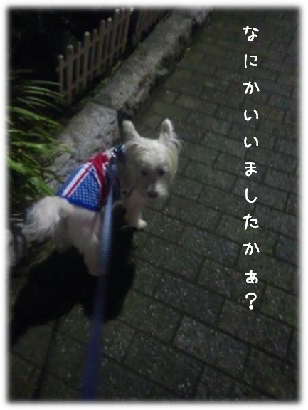 b0242873_10262590.png