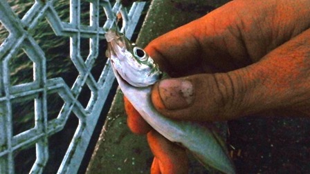 c0108673_12292329.jpg