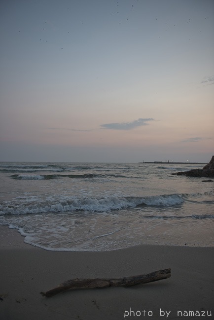 b0280176_15494538.jpg