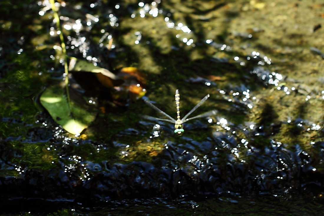 e0249878_22515334.jpg