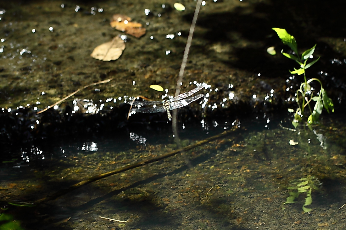 e0249878_22573162.jpg