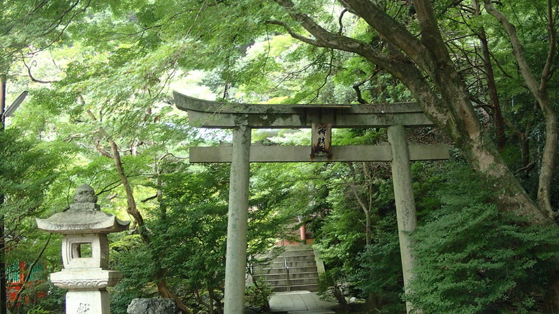 e0024081_910044.jpg