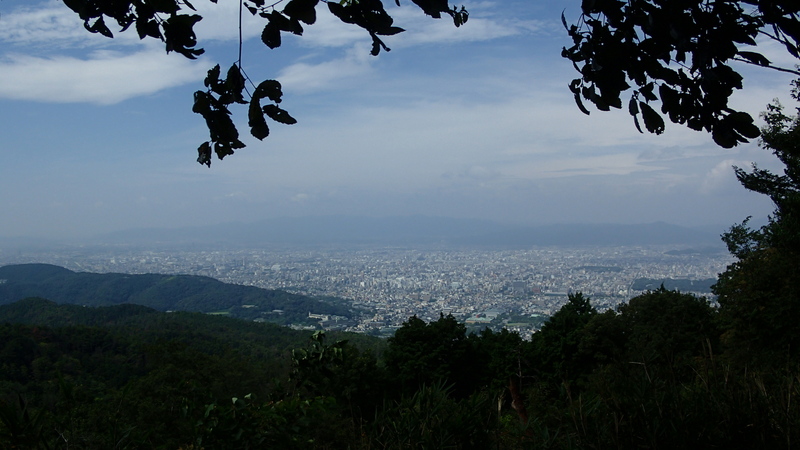 e0024081_9153473.jpg
