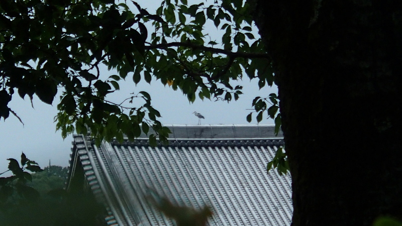 e0024081_9235579.jpg