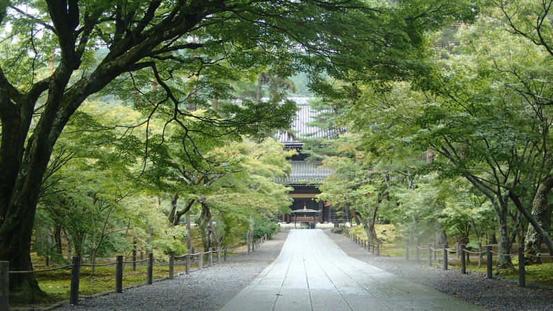 e0024081_926568.jpg