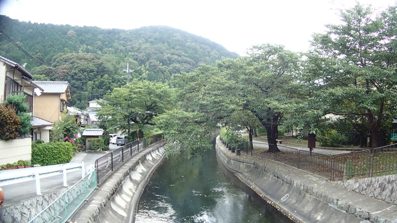 e0024081_98218.jpg