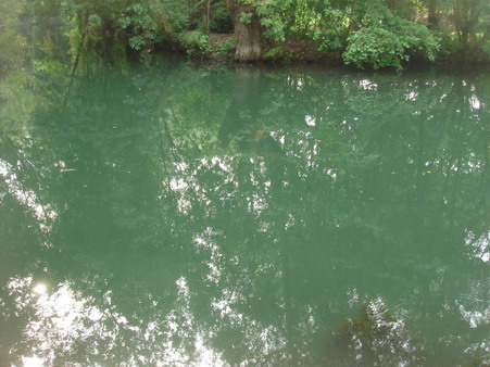 a0247585_771359.jpg