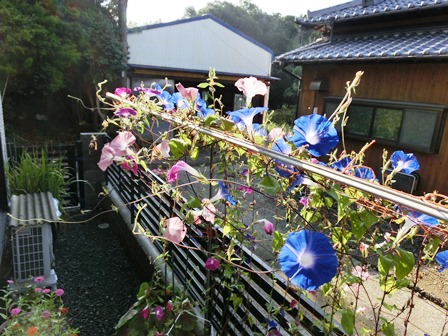 c0167785_20565651.jpg