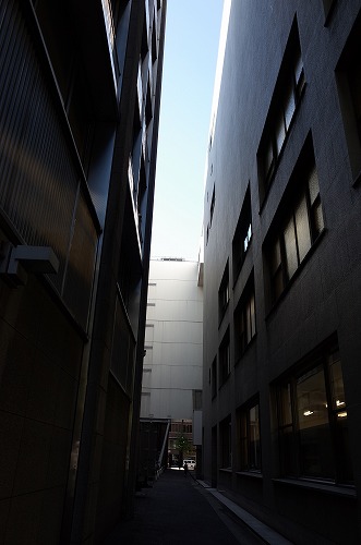 b0119493_1354612.jpg
