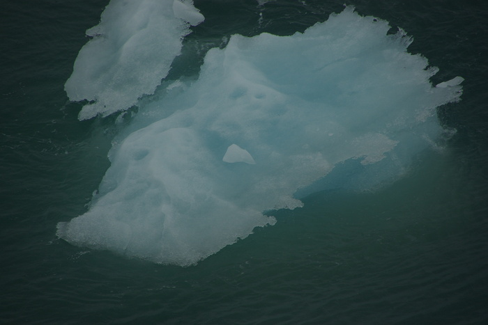 f0268294_17581746.jpg