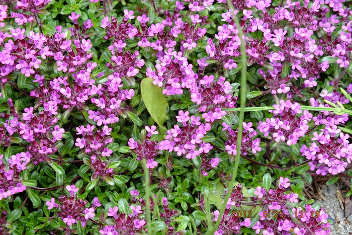 f0268294_23222452.jpg