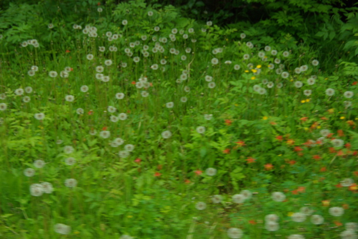 f0268294_23224363.jpg